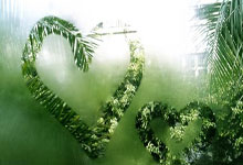 为什么会存在美团核销第三方接口API服务商